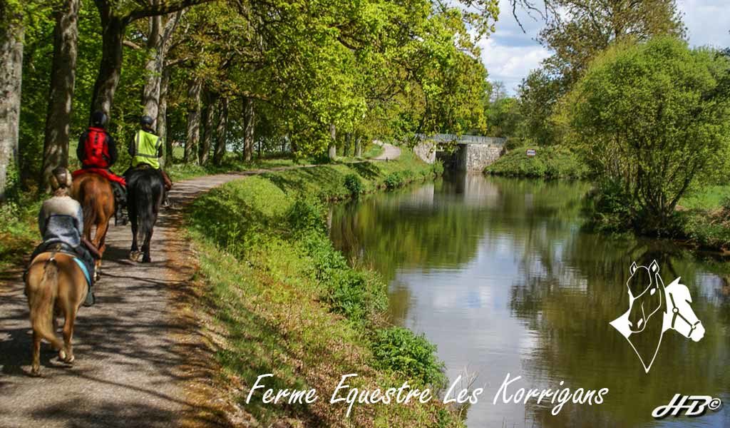 Randonnée à cheval